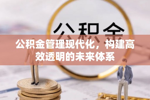宜丰公积金管理现代化，构建高效透明的未来体系